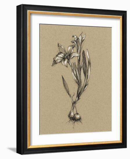 Botanical Sketch Black and White I-Ethan Harper-Framed Art Print