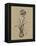 Botanical Sketch Black and White II-Ethan Harper-Framed Stretched Canvas