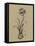 Botanical Sketch Black and White II-Ethan Harper-Framed Stretched Canvas