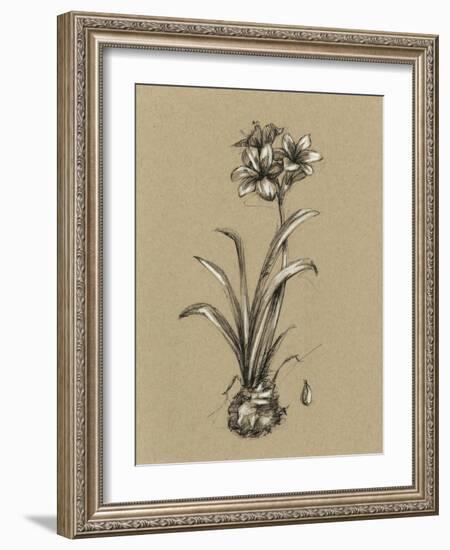 Botanical Sketch Black and White II-Ethan Harper-Framed Art Print