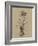 Botanical Sketch Black and White II-Ethan Harper-Framed Art Print