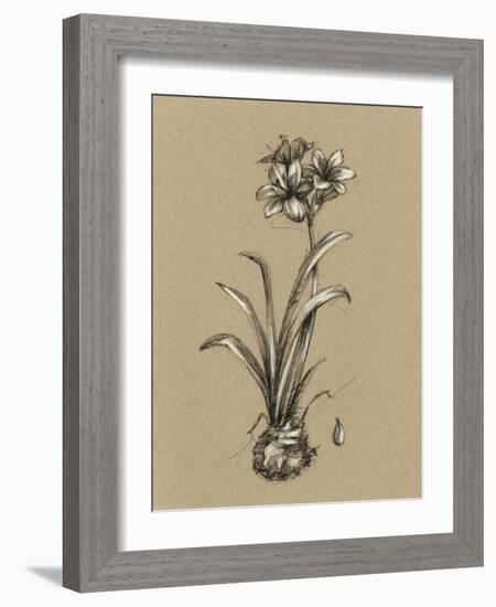 Botanical Sketch Black and White II-Ethan Harper-Framed Art Print