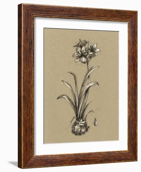 Botanical Sketch Black and White II-Ethan Harper-Framed Art Print