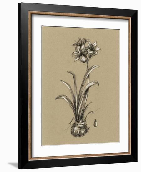 Botanical Sketch Black and White II-Ethan Harper-Framed Art Print