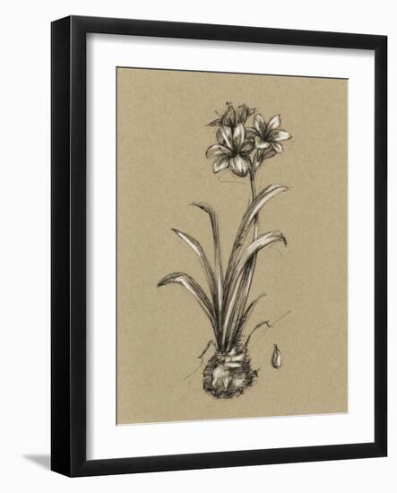 Botanical Sketch Black and White II-Ethan Harper-Framed Art Print