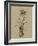 Botanical Sketch Black and White II-Ethan Harper-Framed Art Print