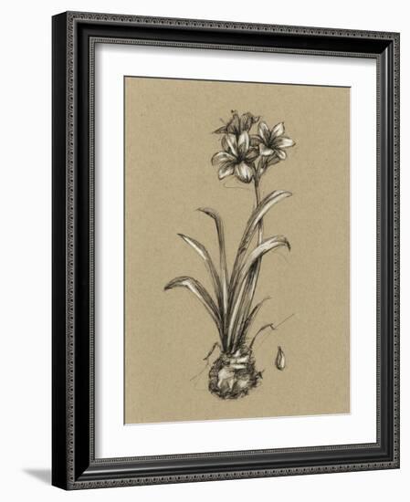 Botanical Sketch Black and White II-Ethan Harper-Framed Art Print