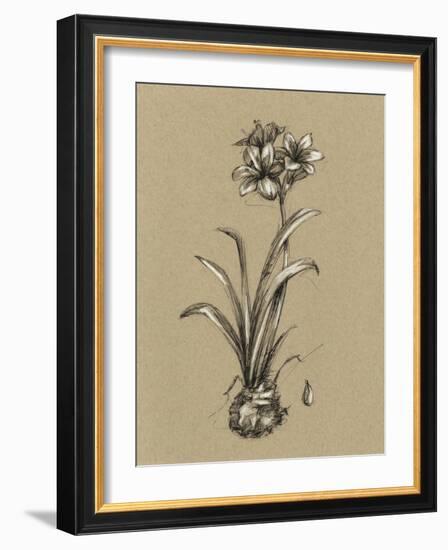 Botanical Sketch Black and White II-Ethan Harper-Framed Art Print