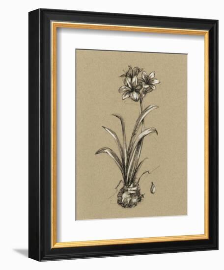 Botanical Sketch Black and White II-Ethan Harper-Framed Premium Giclee Print