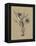 Botanical Sketch Black and White III-Ethan Harper-Framed Stretched Canvas