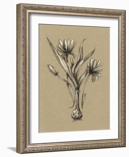 Botanical Sketch Black and White III-Ethan Harper-Framed Art Print