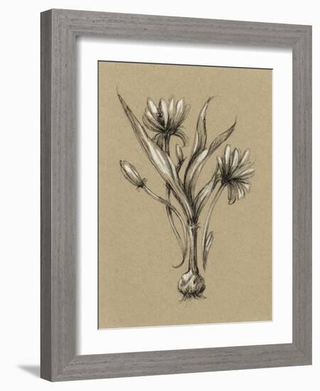 Botanical Sketch Black and White III-Ethan Harper-Framed Art Print