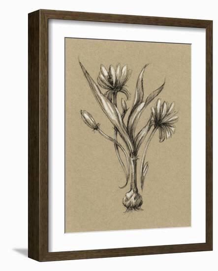 Botanical Sketch Black and White III-Ethan Harper-Framed Art Print