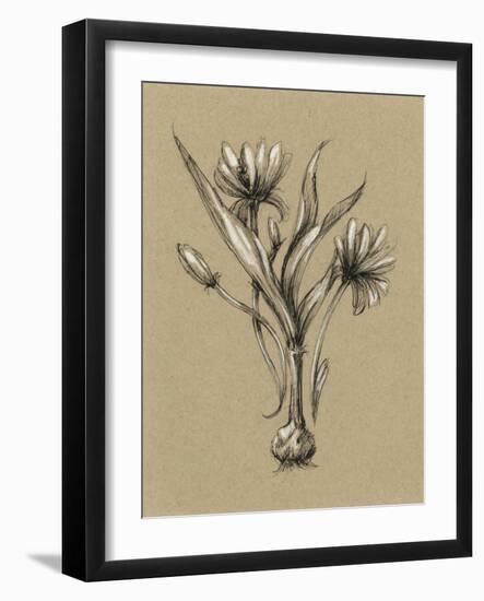 Botanical Sketch Black and White III-Ethan Harper-Framed Art Print