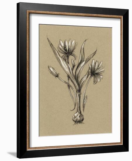 Botanical Sketch Black and White III-Ethan Harper-Framed Art Print