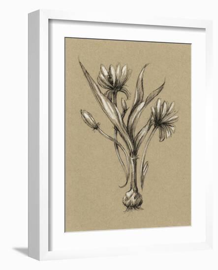 Botanical Sketch Black and White III-Ethan Harper-Framed Art Print