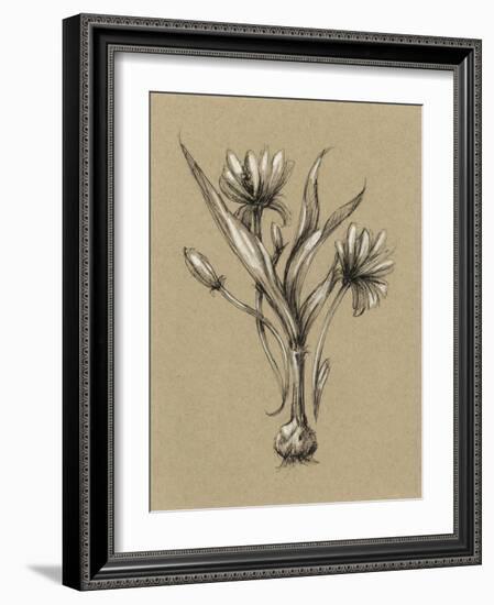 Botanical Sketch Black and White III-Ethan Harper-Framed Art Print