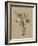 Botanical Sketch Black and White III-Ethan Harper-Framed Art Print