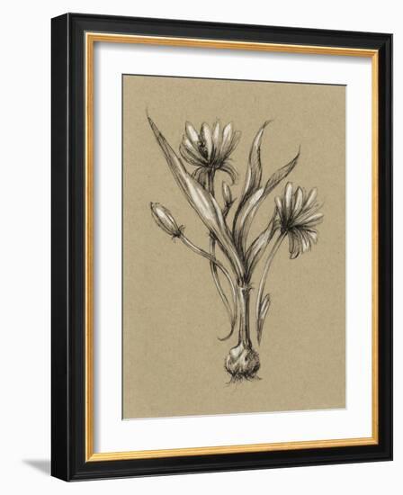 Botanical Sketch Black and White III-Ethan Harper-Framed Art Print