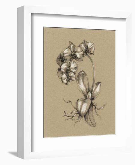 Botanical Sketch Black and White V-Ethan Harper-Framed Art Print