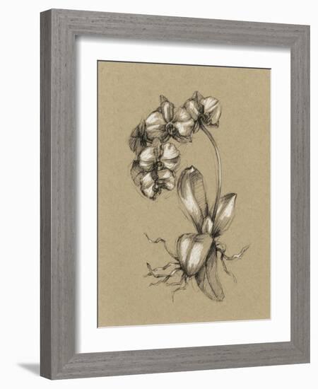 Botanical Sketch Black and White V-Ethan Harper-Framed Art Print