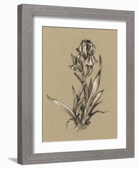 Botanical Sketch Black and White VI-Ethan Harper-Framed Art Print