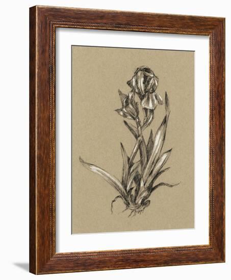 Botanical Sketch Black and White VI-Ethan Harper-Framed Art Print