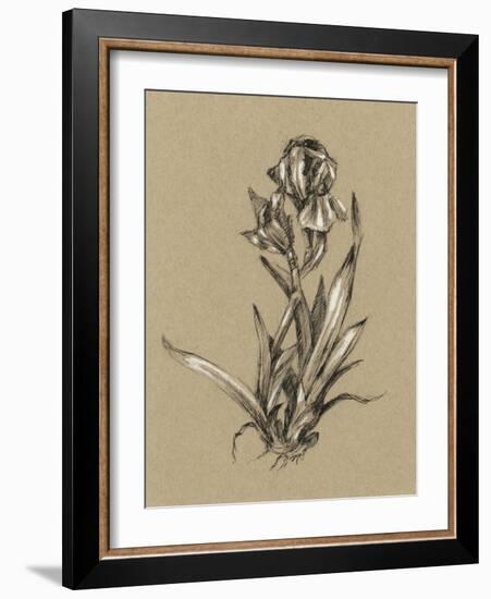 Botanical Sketch Black and White VI-Ethan Harper-Framed Art Print