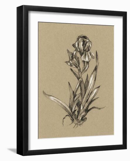 Botanical Sketch Black and White VI-Ethan Harper-Framed Art Print