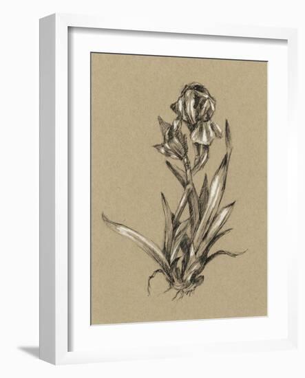 Botanical Sketch Black and White VI-Ethan Harper-Framed Art Print