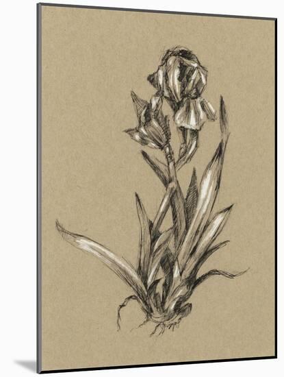 Botanical Sketch Black and White VI-Ethan Harper-Mounted Art Print