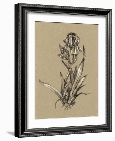 Botanical Sketch Black and White VI-Ethan Harper-Framed Art Print