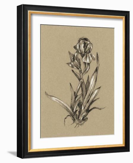 Botanical Sketch Black and White VI-Ethan Harper-Framed Art Print