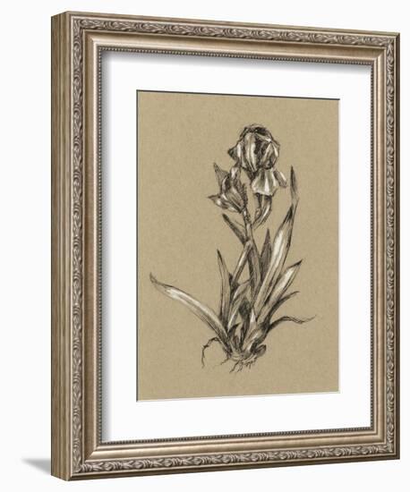 Botanical Sketch Black and White VI-Ethan Harper-Framed Art Print