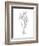 Botanical Sketch I-Ethan Harper-Framed Art Print