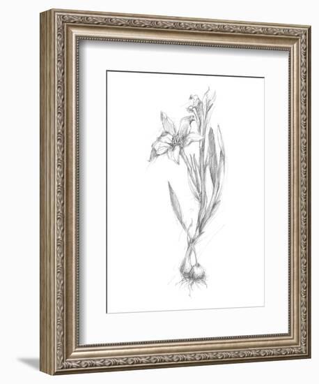 Botanical Sketch I-Ethan Harper-Framed Art Print