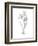 Botanical Sketch I-Ethan Harper-Framed Art Print