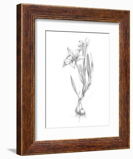 Botanical Sketch I-Ethan Harper-Framed Art Print