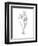 Botanical Sketch I-Ethan Harper-Framed Art Print