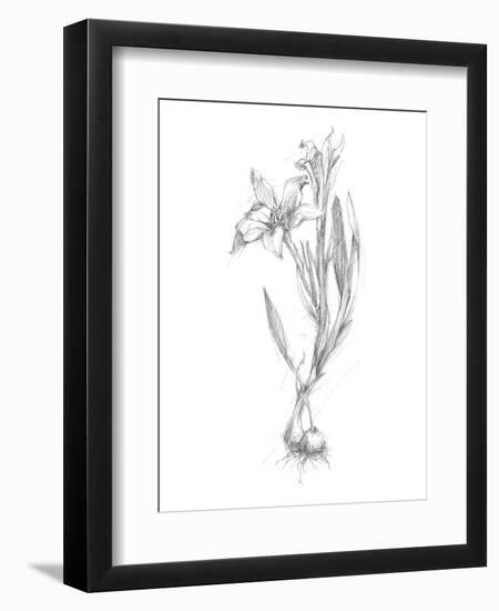 Botanical Sketch I-Ethan Harper-Framed Art Print