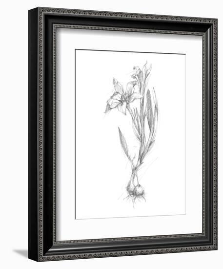 Botanical Sketch I-Ethan Harper-Framed Art Print