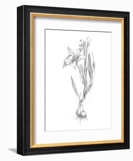 Botanical Sketch I-Ethan Harper-Framed Art Print