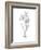 Botanical Sketch I-Ethan Harper-Framed Art Print