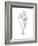 Botanical Sketch I-Ethan Harper-Framed Art Print