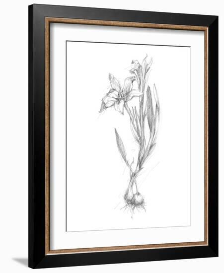 Botanical Sketch I-Ethan Harper-Framed Art Print