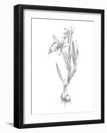 Botanical Sketch I-Ethan Harper-Framed Art Print