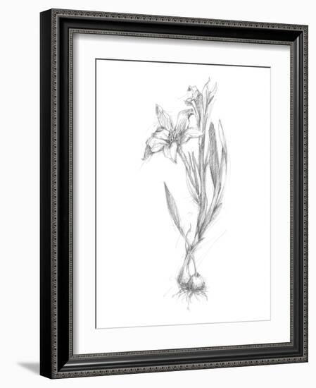 Botanical Sketch I-Ethan Harper-Framed Art Print