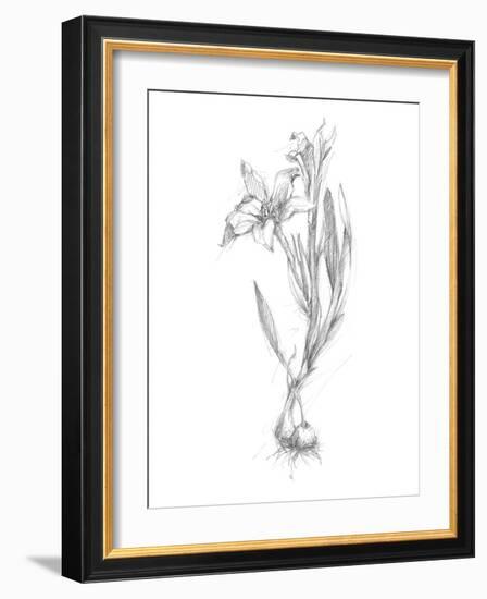 Botanical Sketch I-Ethan Harper-Framed Art Print