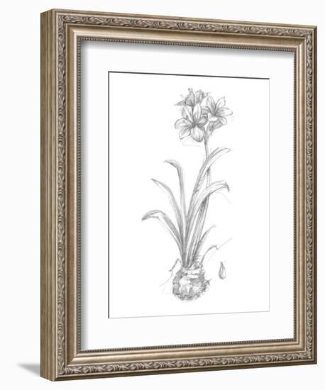 Botanical Sketch II-Ethan Harper-Framed Art Print