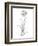 Botanical Sketch II-Ethan Harper-Framed Art Print